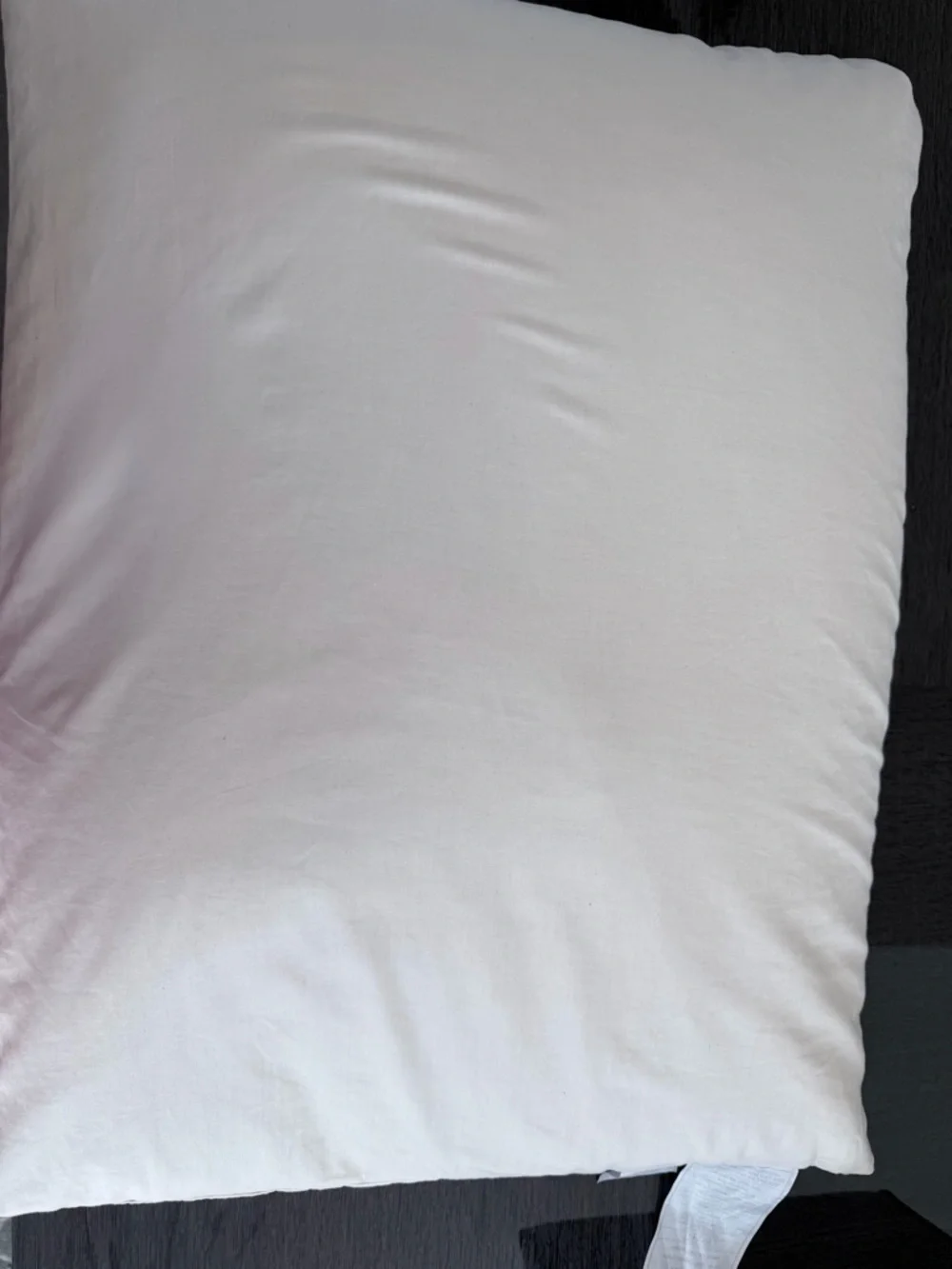 Adjustable anti aging Wellness Organic Buckwheat Pillow 20*26 + silk pillowcase